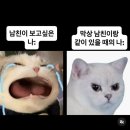 (주)코리아세븐 문정스타점 | 7월 둘째 주 : Die어트