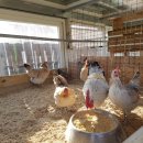 경산펜션민박 이미지