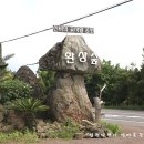 [펌-제주여행] 신비의 곶자왈 공원 환상숲 이미지