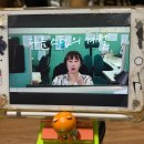 (주)제윤 | 백수의 바쁜 일상