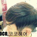 코코댄디