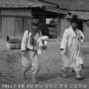춘동2 이미지