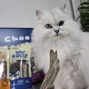 신양오리 | 냥냥식당 냠냠 동결건조간식 후기 고양이간식 강아지간식으로 안심하고 급여한 리얼 육류 간식