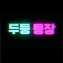 너구리 소굴 이미지