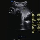 아이앤맘산부인과의원 이미지