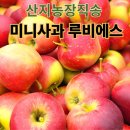 영주상사 이미지