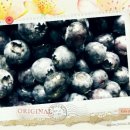 드림농원 이미지