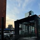 더블유피부과의원 | 강남역 피부과 전문의, 미파문피부과의원 피부 질환 치료 (1)