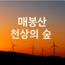 백두대간로 | 매봉산 천상의 숲 숙소, 태백 가성비 최고 힐링뷰 숙소 후기
