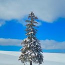 주식회사 버스투어여행사 이미지