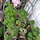 이레축산2 이미지