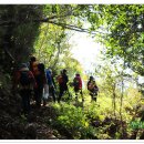 개도 사람길 이미지