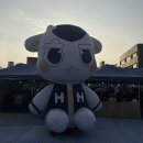 [직대딩] 홍익대학교 축제 대동제_화양연화; 찬란