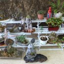 양정초등학교 이미지