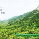 한라바이오랩 이미지