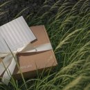 케이브몰 이미지