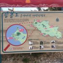 일도네민박 이미지