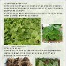 종만농장 이미지