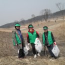 크린코리아 이미지