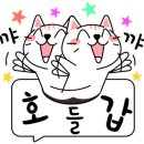 에스앤드 이미지