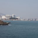 남항대교 이미지