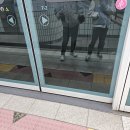 아리랑커피다방 | 봄이 왔어요 = 개강 이건 불변의 법칙