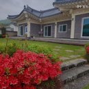 경주 둥지가족펜션 이미지