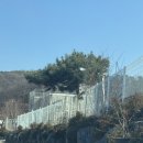 파주에너지서비스 주식회사 | 파주 애견호텔 추천, 넓은 운동장에서 마음껏 뛰어노는 탑플라이트 솔직 후기