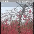 홍정농장 이미지