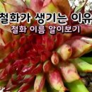 살구미농원 네이버블로그