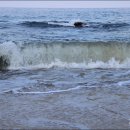 휴펜션&모텔 이미지