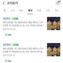 요기가고기