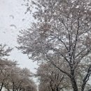 청옥뚝배기