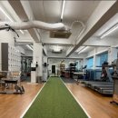 머슬앤모션 이미지