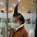 시선소가