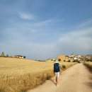 산티아고 순례길 프랑스길 후기｜600km를 걸으며 알게 된 순례길의 매력