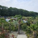 개똥골펜션 이미지