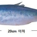 청어람로 이미지