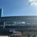 조아국제결혼 | 결혼식 + 신행(파리, 스페인) + 그 후 일상 (끝날때까지 끝난게 아닌•••)