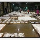 싱싱한 생선나라 이미지