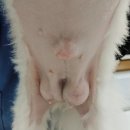 닥터정 동물병원 이미지