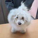 초량상로 이미지