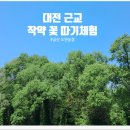 도연농장 네이버블로그