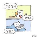 [동구샘터] 폼폼키링(강아지, 고양이) 만들기(B팀:4~5회차) | 2024년 7,8,9월 모음집