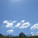 송광초등학교 이미지