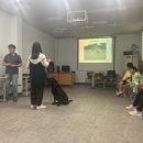 하서초등학교 이미지