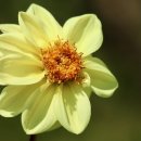 연촌초등학교 이미지