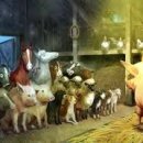 지식인농장 이미지