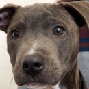 젬마동물병원 이미지