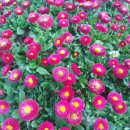 삼부르네상스오피스텔 이미지